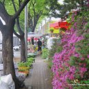 성내천공원 네이버블로그