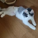 동홍로90번길 이미지