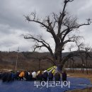 장군제 이미지