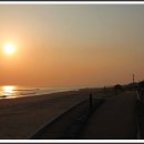 망상오토캠핑리조트 이미지