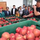 청과물처리장 이미지