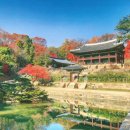 우리들자산