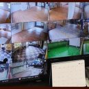 킹스키즈 개린이집 이미지