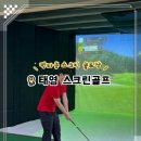 태영스크린 이미지