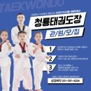 용인대석사청룡태권도 이미지