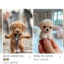 뚝딱