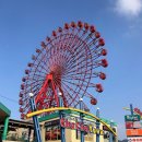 채리니와 첫 여행 🇯🇵