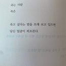 미몽 이미지