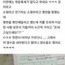 캐스퍼 전기차 샀다가 공무원에게 조롱받은 썰 이미지