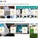 금성아이티 이미지