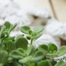 서정어린이집 이미지