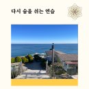 아리별마을 | 정선 여성 부부회복캠프 후기｜상담 이후, 다시 숨을 쉬는 여행