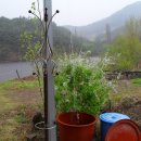 안계농장 이미지