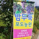 밤두둑농원 이미지