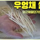 우엉채조림 우엉손질법 쫀득한 우엉조림 맛있게 만드는법 이미지