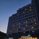 비바체 이미지