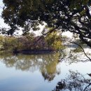 환경생태공원 이미지