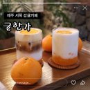 서쪽에서(귤이네) | 제주 서쪽여행 감귤체험, 귤라떼가 맛있는 카페 귤한가