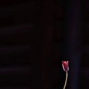 길손