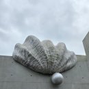 자연염색박물관 | [크리스마스 제주 S2 #8] 세계조가비박물관 관람 솔직 후기 (제주 실내 데이트 장소)