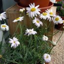 정원출장 이미지