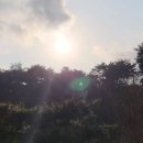카페쉼터 - 중구 을지로32길 33 | 카페쉼터