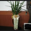 스포츠당구장 이미지