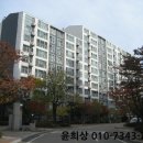 세화로168번길 네이버블로그