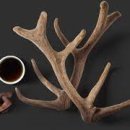 산본중심한의원 이미지