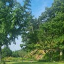 배나무실의 아침 이미지