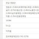 백암 3교 이미지