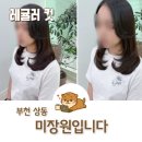 금호 미장원 | 상동헤어샵 미장원입니다 여름 헤어스타일 가벼운 레이어드컷 후기