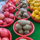 호남청과 | 광주 광산구 과일총각 호남청과 700 신선한 과일 구입 후기