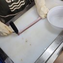 부산자갈치곰장어 | 장산역맛집 좌동 자갈치곰장어 맛있는 집 후기