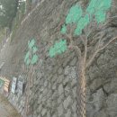 수원초등학교 이미지