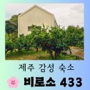 행복한민박 | [제주 여행] 다시 찾은 아름다운 제주 감성 숙소 "비로소 433" 행복한 방문 후기