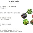 모터플러스 이미지