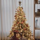 현대자동차종합병원 | 12/25]테슬라 시승, 방광염 산부인과, 동성로 놀장축제