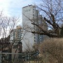 신승무정형외과의원 이미지