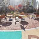 가온아리 이미지