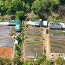 매송농장 이미지