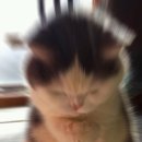 세븐일레븐 삼성동래미안 이미지