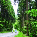 하늘땅바람 이미지