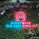 헬로우쥬 카페 이미지