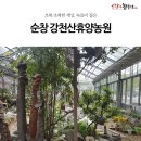 강천산휴양농원 이미지