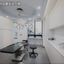 오케이성형외과의원 네이버블로그