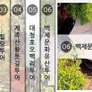 모든투어 - 김해시 김해대로 245 | 모든투어