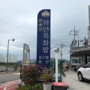 바닷가하얀목화밭