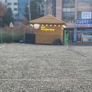 보드게임으로 함께하는 역사 탐혐대 | 수원달빛야경 실내캠핑장 일요일 오전 방문 | 날씨 걱정 없는 캠핑의 정석