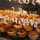 온 양과점 이미지